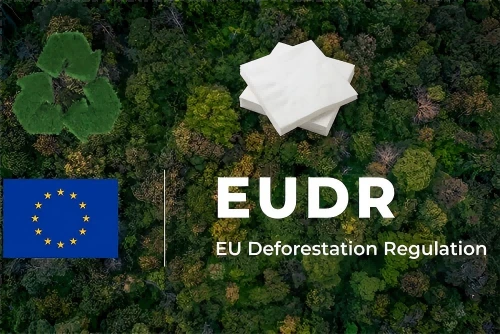 Navigere i EUDR i 2026: Hvordan europeiske importører av silkepapir kan forhi...